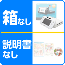 箱・説明書がない