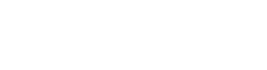 ストーリー ― まだ、世界に魔物がいた頃のお話。妹を探して、旅を続けていたケレシスはヘルハウンドに襲われ意識を失う。そこでアレイド王国のリーナ姫に助けられる。ひどい怪我を負ったが薬草メアのおかげでケレシスは助かる。メアが生息する谷は今は魔物が現れ兵を送り込むが戻ってこない。王も病に倒れ、リーナ姫が護衛を連れてメアを取りに向かうが一向に連絡がない。話を聞いたケレシスはリーナ姫を助けるべく魔物の谷に向かう。