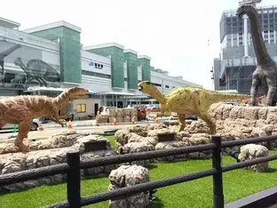 福井県の地域画像3