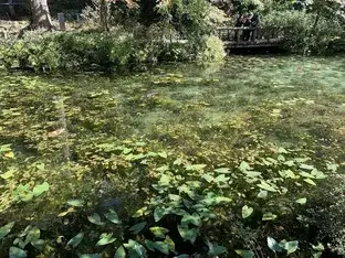 岐阜県の地域画像3