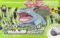 ポケットモンスター リーフグリーン