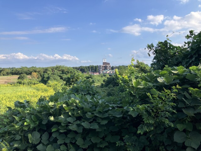 ホテル21の写真その1です